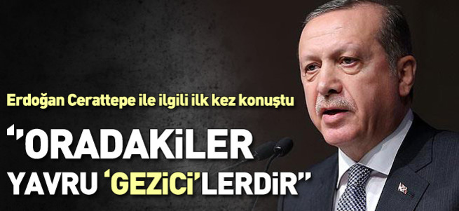 Erdoğan'dan Cerattepe açıklaması
