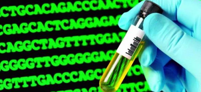 Biyolojik süper bilgisayar test edildi