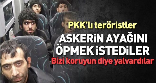 PKK'lı terörist askerin ayağını öpmek istedi