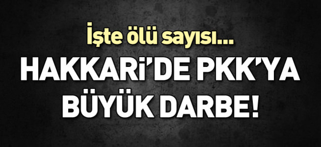 TSK: Hakkari'de 11 terörist öldürüldü!