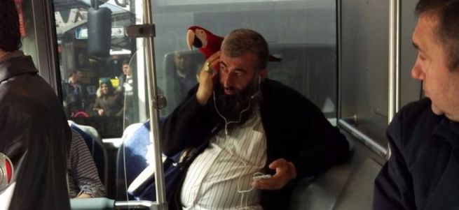 Metrobüse papağanla binen İstanbullu