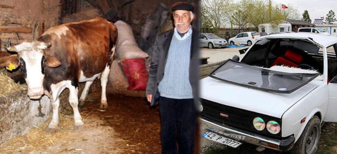 150 kiloluk danayı otomobille çalmaya kalkıştılar