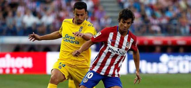 Oliver Torres Fener'e