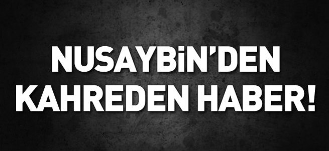 Nusaybin'den kahreden haber!..