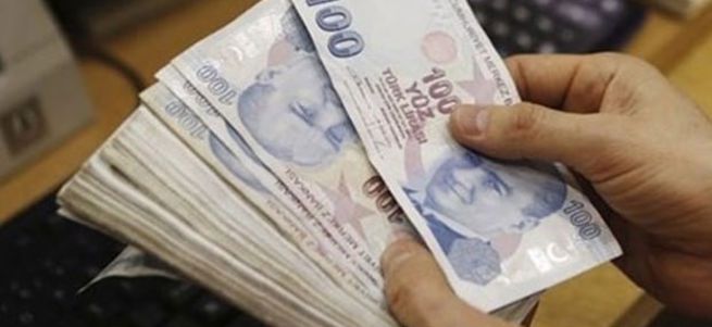 Bunu yapana ayda 260 TL devletten