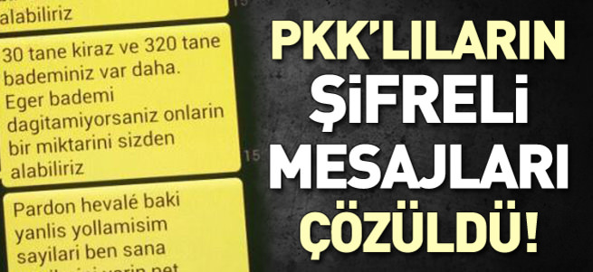 Sınırda yakalanan PYD'linin cep telefonunda 'kiraz' ve 'badem' mesajları
