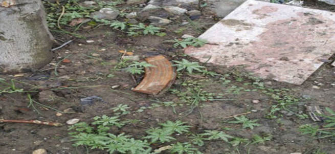 PKK'lıların kullandığı evin bahçesinden çıktı!
