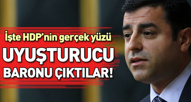 Uyuşturucu baronları HDP'li çıktı