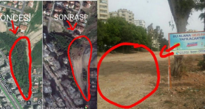 Gezi vahşeti