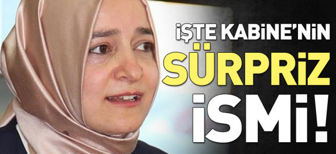 65. Hükümet'in tek kadın Bakanı Fatma Betül Sayan Kaya oldu