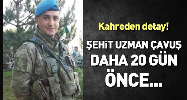 Şehit Uzman Çavuş Mesut Ardıç 20 gün önce evlenmiş