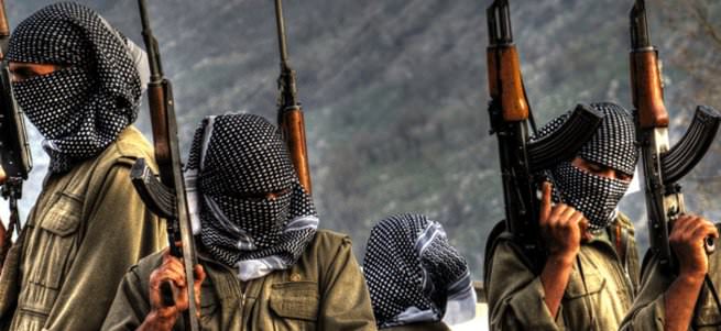 Şemdinli'de yol kesen PKK'lılar kamyon şoförünü öldürdü
