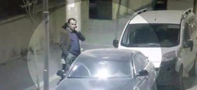 Almanya ile HDP'den ortak alçaklık