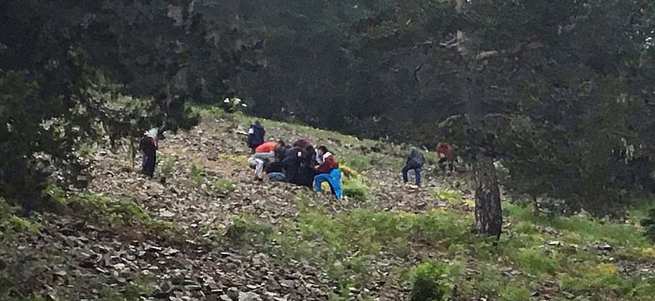 Giresun’da askeri helikopter düştü!