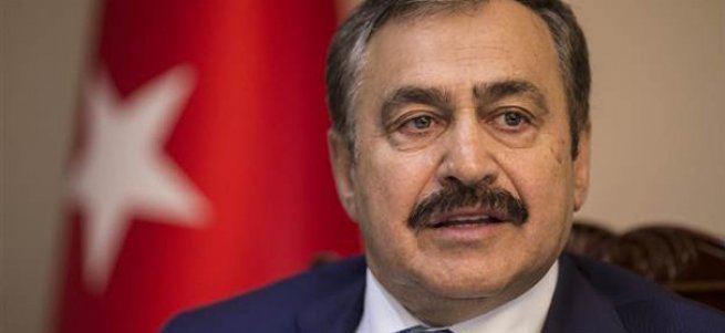 Bakan Eroğlu'ndan 'vatandaşlık' açıklaması