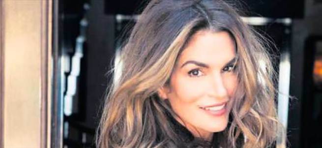 Cindy görünümlü şahin