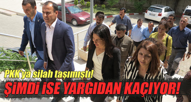 HDP'li Ferhat Encü ifade vermedi