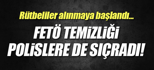 Ordu'da 10 rütbeli polis gözaltına alındı